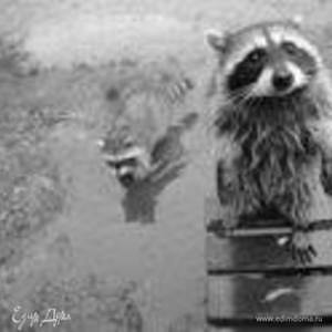 Фотография профиля