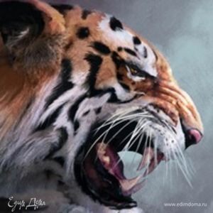 Фотография профиля