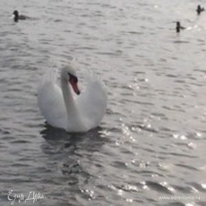 Фотография профиля