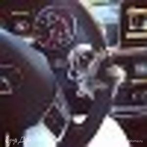 Фотография профиля