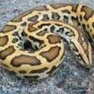 Фотография профиля