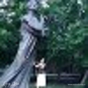 Фотография профиля