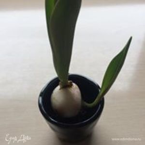 Фотография профиля