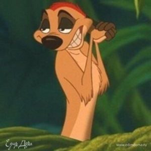 Фотография профиля