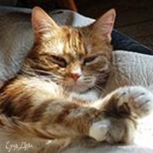 Фотография профиля