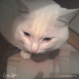 Фотография профиля