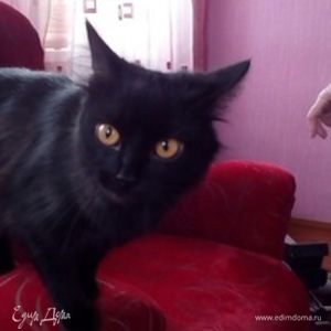 Фотография профиля