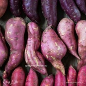 Фотография профиля