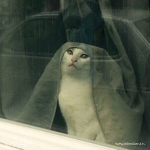 Фотография профиля