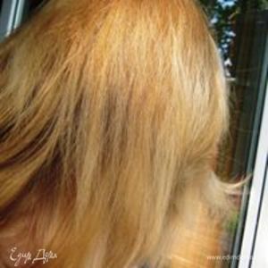 Фотография профиля