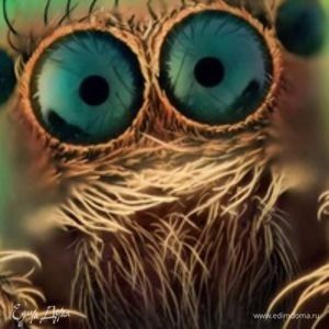 Фотография профиля