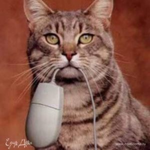 Фотография профиля