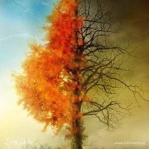 Фотография профиля