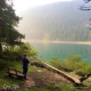 Фотография профиля