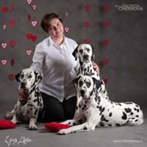 Фотография профиля