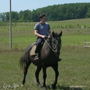 Фотография профиля