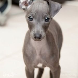 Фотография профиля