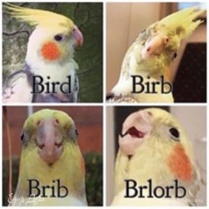 Фотография профиля