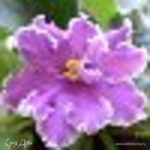 Фотография профиля