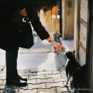 Фотография профиля