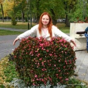 Фотография профиля