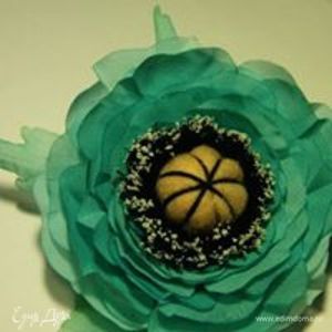 Фотография профиля