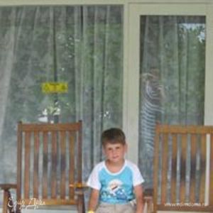 Фотография профиля