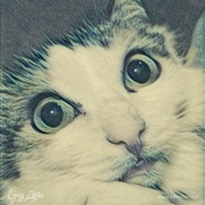 Фотография профиля