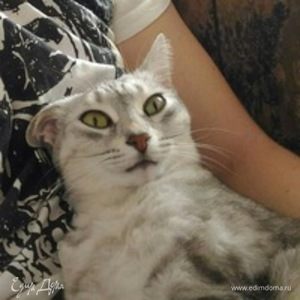 Фотография профиля