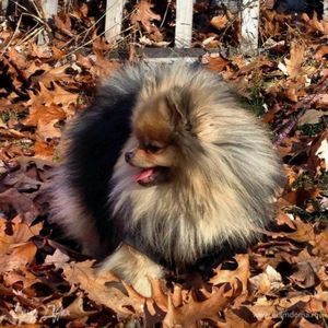 Фотография профиля