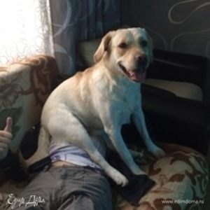 Фотография профиля