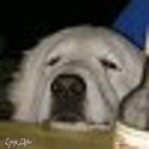 Фотография профиля