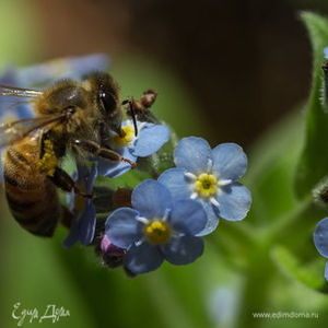 Фотография профиля