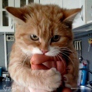 Фотография профиля