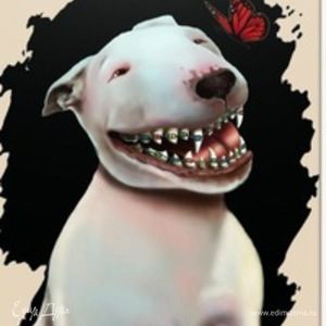 Фотография профиля