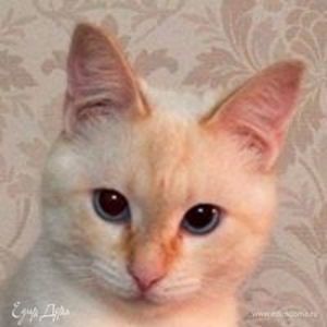 Фотография профиля