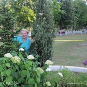 Фотография профиля