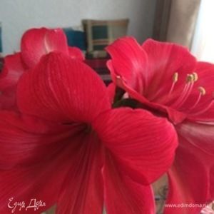 Фотография профиля