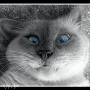 Фотография профиля