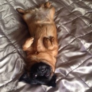 Фотография профиля