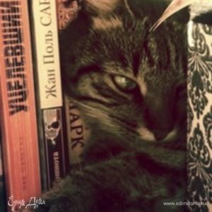 Фотография профиля