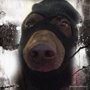 Фотография профиля