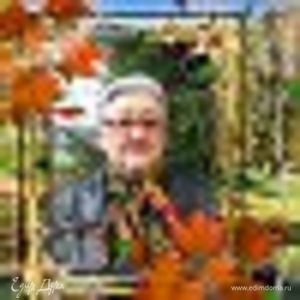 Фотография профиля