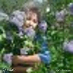 Фотография профиля