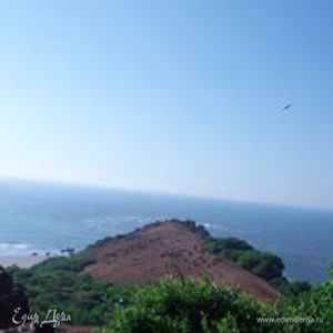 Фотография профиля