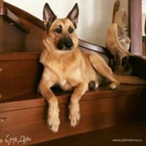 Фотография профиля