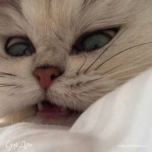 Фотография профиля