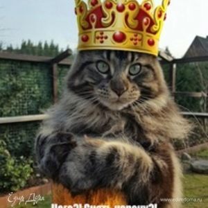 Фотография профиля