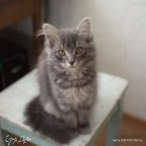 Фотография профиля