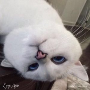 Фотография профиля